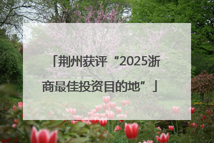荆州获评“2025浙商最佳投资目的地”