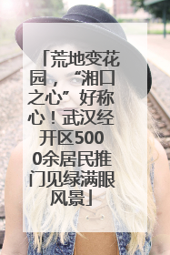 荒地变花园，“湘口之心”好称心！武汉经开区5000余居民推门见绿满眼风景