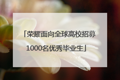 荣耀面向全球高校招募1000名优秀毕业生