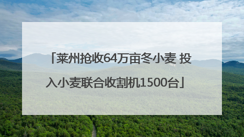 莱州抢收64万亩冬小麦 投入小麦联合收割机1500台
