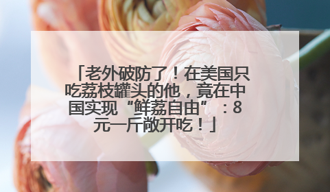 老外破防了！在美国只吃荔枝罐头的他，竟在中国实现“鲜荔自由”：8元一斤敞开吃！