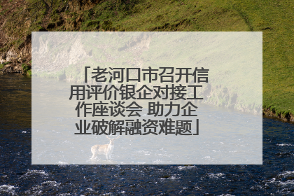 老河口市召开信用评价银企对接工作座谈会 助力企业破解融资难题