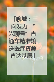 聊城：三向发力 “兴聊号”直通车精准输送医疗资源直达基层
