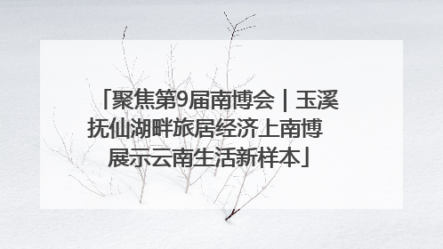 聚焦第9届南博会｜玉溪抚仙湖畔旅居经济上南博 展示云南生活新样本