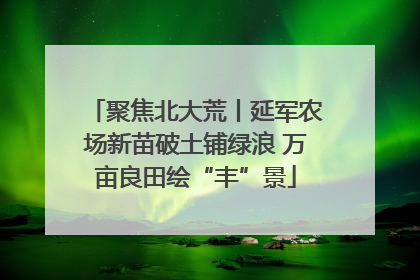 聚焦北大荒丨延军农场新苗破土铺绿浪 万亩良田绘“丰”景