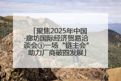 聚焦2025年中国·廊坊国际经济贸易洽谈会③一场“链主会” 助力厂商破圈发展