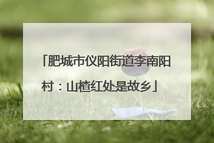 肥城市仪阳街道李南阳村：山楂红处是故乡