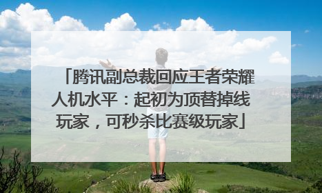 腾讯副总裁回应王者荣耀人机水平：起初为顶替掉线玩家，可秒杀比赛级玩家