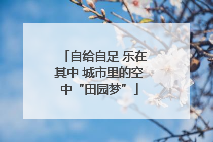 自给自足 乐在其中 城市里的空中“田园梦”