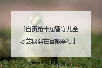 自贡第十届留守儿童才艺展演在富顺举行
