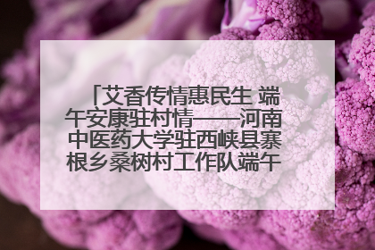艾香传情惠民生 端午安康驻村情——河南中医药大学驻西峡县寨根乡桑树村工作队端午中医惠民记