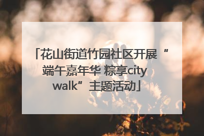 花山街道竹园社区开展“端午嘉年华 粽享city walk”主题活动