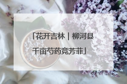 花开吉林｜柳河县千亩芍药竞芳菲