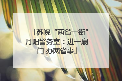 苏皖“两省一街”丹阳警务室：进一扇门 办两省事