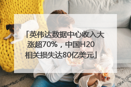 英伟达数据中心收入大涨超70%，中国H20相关损失达80亿美元