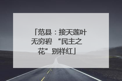 范县：接天莲叶无穷碧 “民主之花”别样红