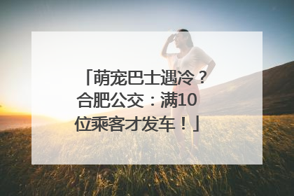 萌宠巴士遇冷？合肥公交：满10位乘客才发车！