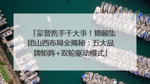 蒙晋携手干大事！锦颐集团山西布局全揭秘：五大品牌矩阵+双轮驱动模式