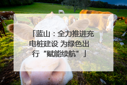 蓝山：全力推进充电桩建设 为绿色出行“赋能续航”