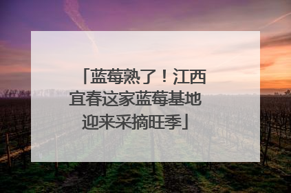 蓝莓熟了！江西宜春这家蓝莓基地迎来采摘旺季