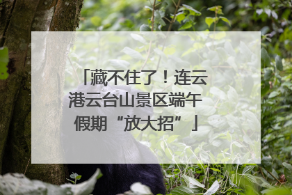 藏不住了！连云港云台山景区端午假期“放大招”