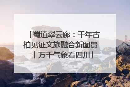 蜀道翠云廊：千年古柏见证文旅融合新图景丨万千气象看四川