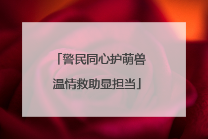 警民同心护萌兽 温情救助显担当