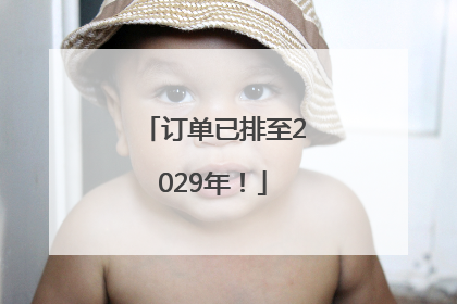 订单已排至2029年！