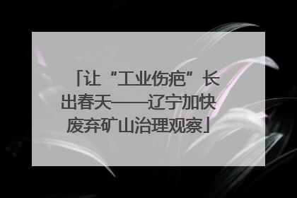 让“工业伤疤”长出春天——辽宁加快废弃矿山治理观察