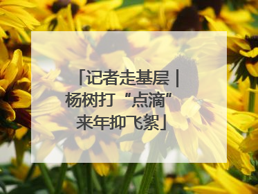 记者走基层｜杨树打“点滴” 来年抑飞絮