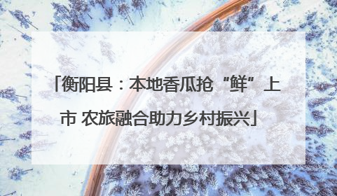 衡阳县：本地香瓜抢“鲜”上市 农旅融合助力乡村振兴