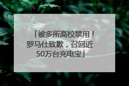 被多所高校禁用！罗马仕致歉，召回近50万台充电宝