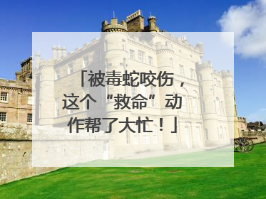 被毒蛇咬伤，这个“救命”动作帮了大忙！