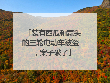 装有西瓜和蒜头的三轮电动车被盗，案子破了