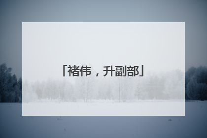 褚伟，升副部