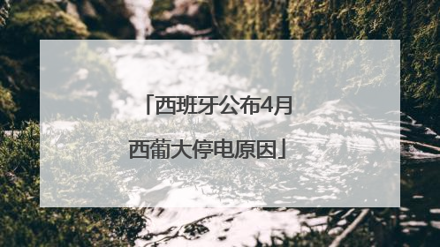 西班牙公布4月西葡大停电原因
