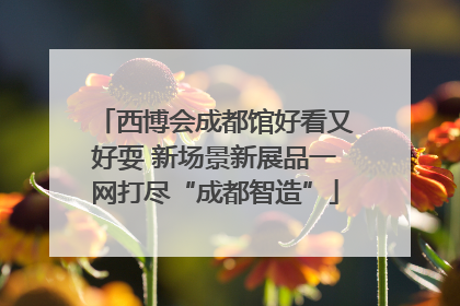 西博会成都馆好看又好耍 新场景新展品一网打尽“成都智造”