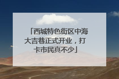 西城特色街区中海大吉巷正式开业，打卡市民真不少