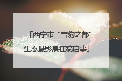 西宁市“雪豹之都”生态摄影展征稿启事