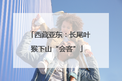 西藏亚东：长尾叶猴下山“会客”
