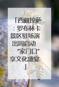西藏拉萨：罗布林卡景区驻场演出周启动 “家门口”享文化盛宴