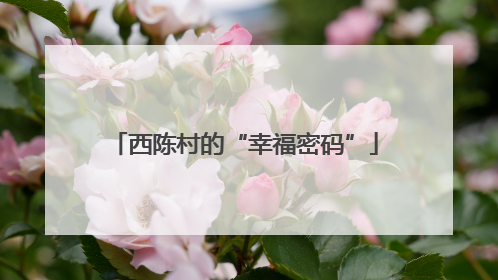 西陈村的“幸福密码”