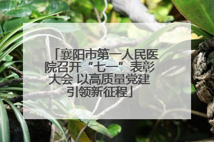 襄阳市第一人民医院召开“七一”表彰大会 以高质量党建引领新征程