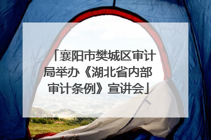 襄阳市樊城区审计局举办《湖北省内部审计条例》宣讲会