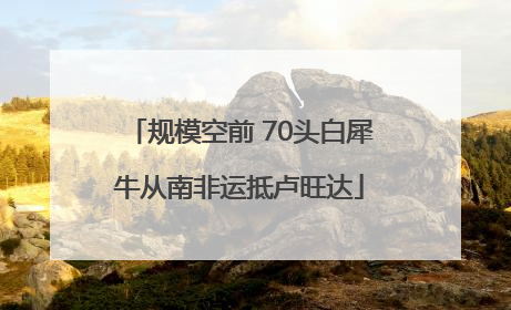 规模空前 70头白犀牛从南非运抵卢旺达