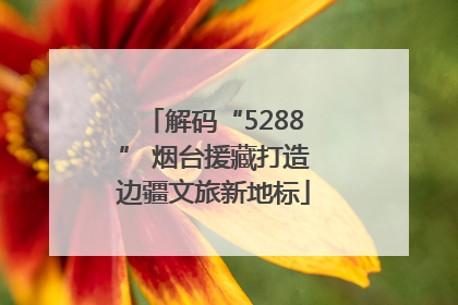 解码“5288” 烟台援藏打造边疆文旅新地标