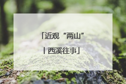 近观“两山”丨西溪往事