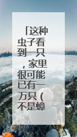这种虫子看到一只，家里很可能已有一万只（不是蟑螂）