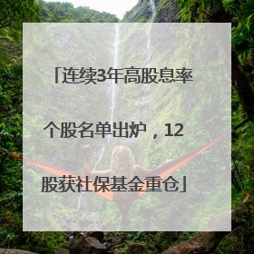 连续3年高股息率个股名单出炉，12股获社保基金重仓