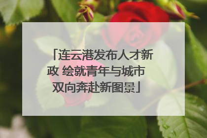 连云港发布人才新政 绘就青年与城市双向奔赴新图景